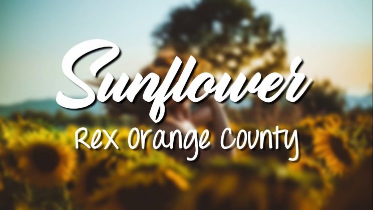 Sunflower By Rex Orange County Kalimba Tabs