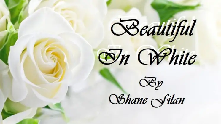 Beautiful In White By Shane Filan Kalimba Tabs