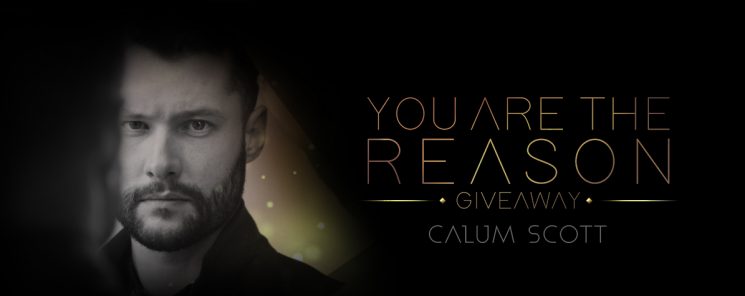 You Are The Reason By Calum Scott Kalimba Tabs