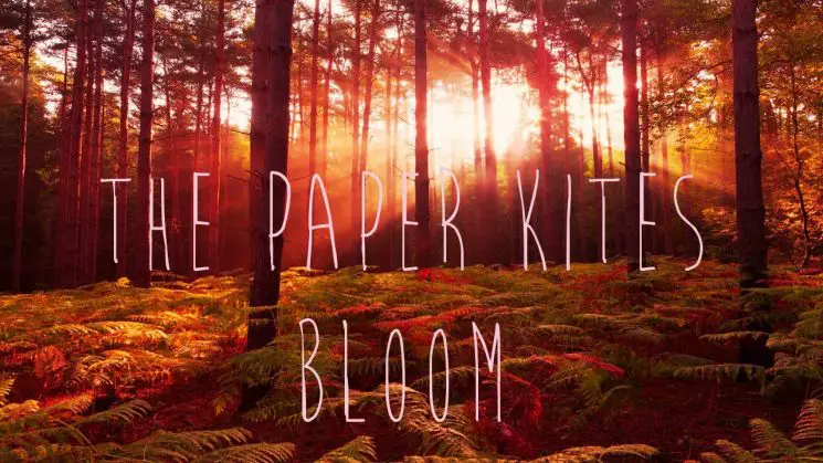 Bloom By The Paper Kites Kalimba Tabs
