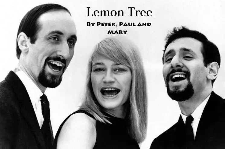 Lemon Tree By Peter, Paul and Mary Kalimba Tabs