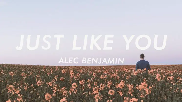 Just Like You By Alec Benjamin Kalimba Tabs