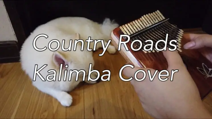 Country Roads (Whisper Of The Heart) By John Denver Kalimba Tabs