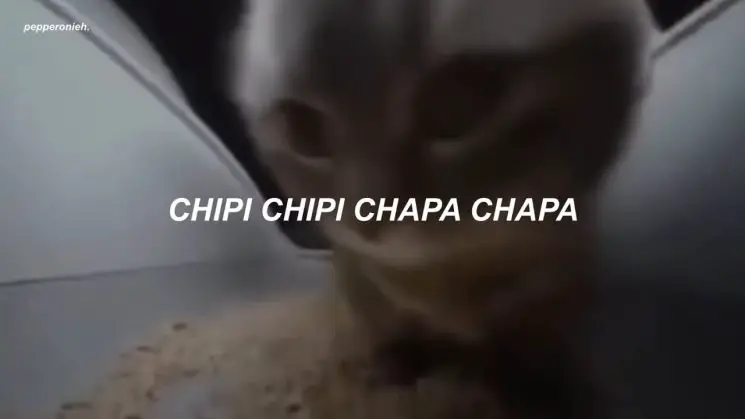 Chipi Chipi Chapa Chapa Dubi Dubi Daba Daba By Christell Kalimba Tabs